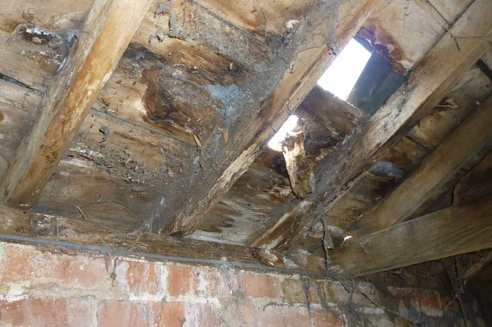 Rotten floor timbers