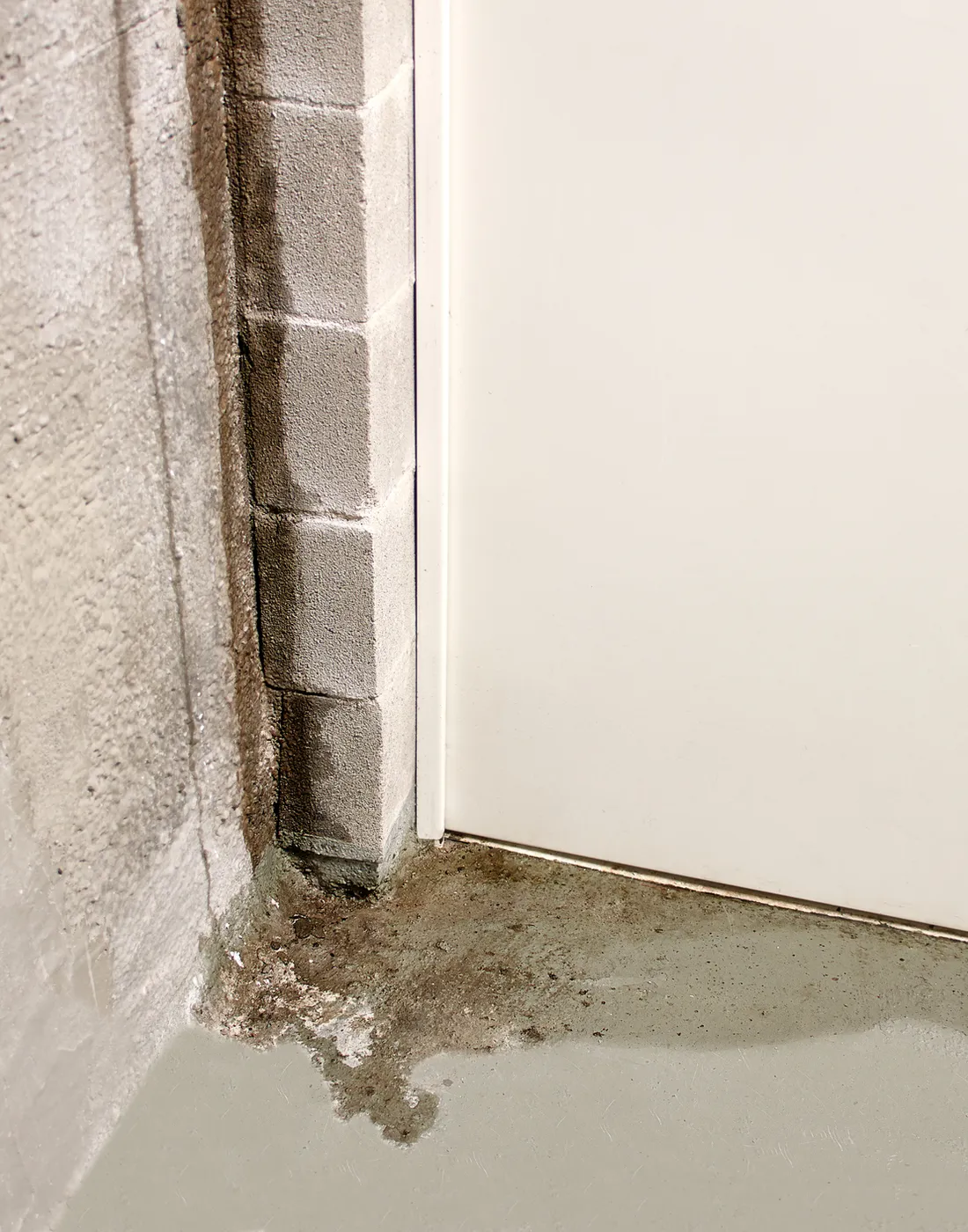 Damp at the base of a below-ground cellar wall