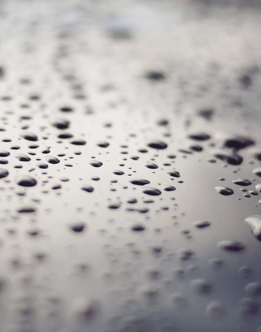 Condensation forming as water droplets on a cold surface