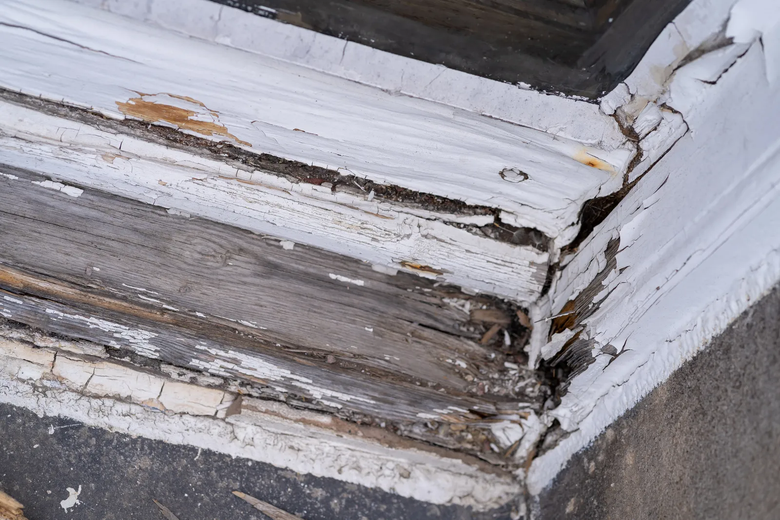 Dry Rot Treatment in Basingstoke, Hampshire
