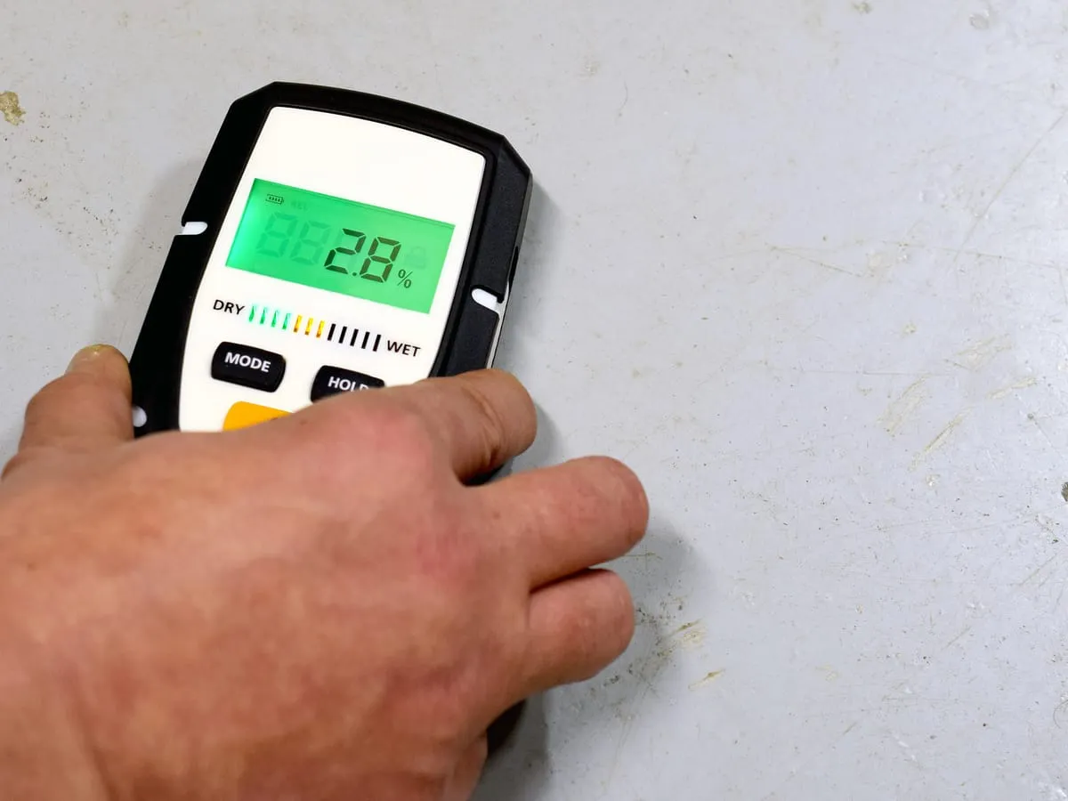 Damp meter being used during a homebuyer damp survey