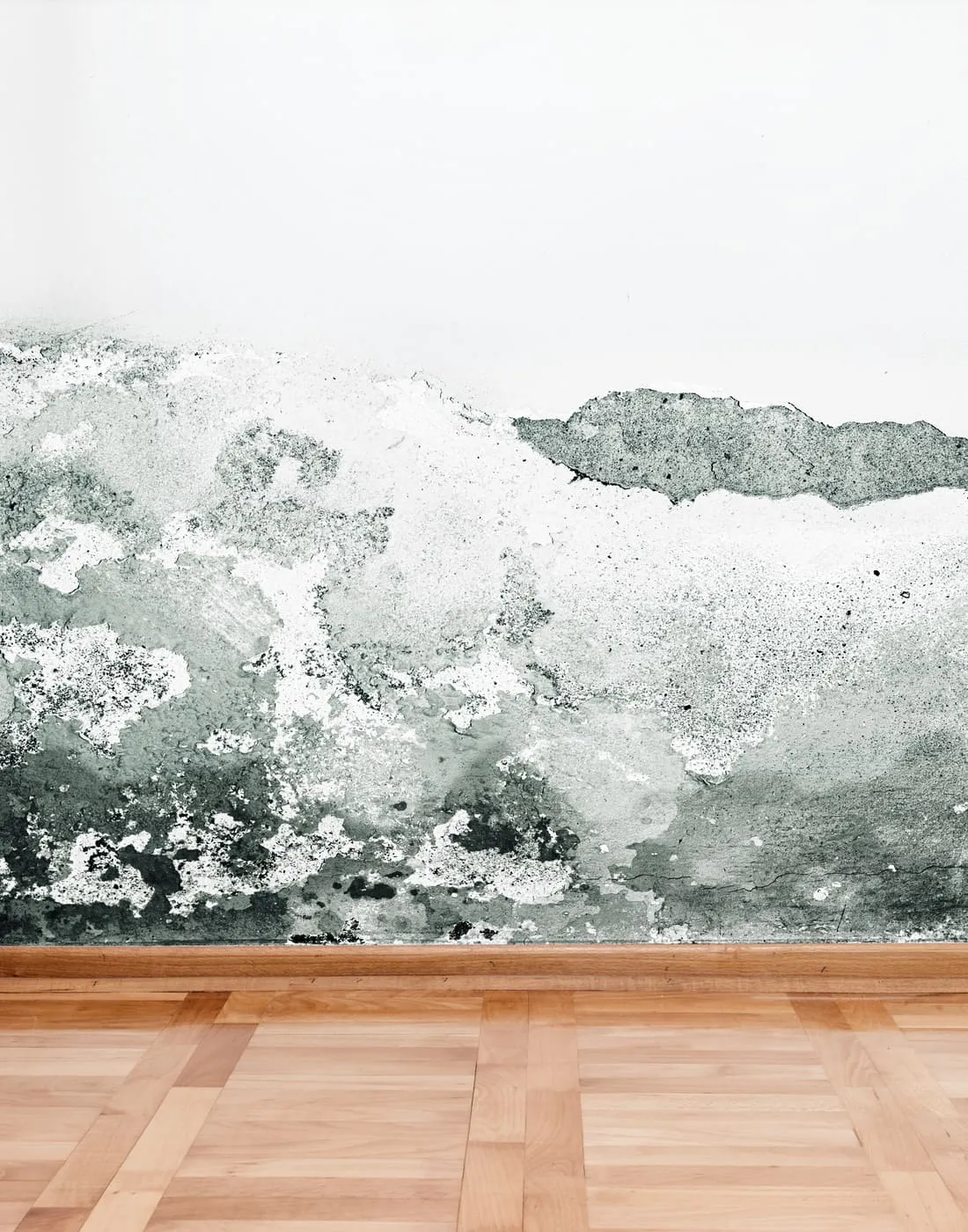 Rising damp and staining at the base of a wall near the floor