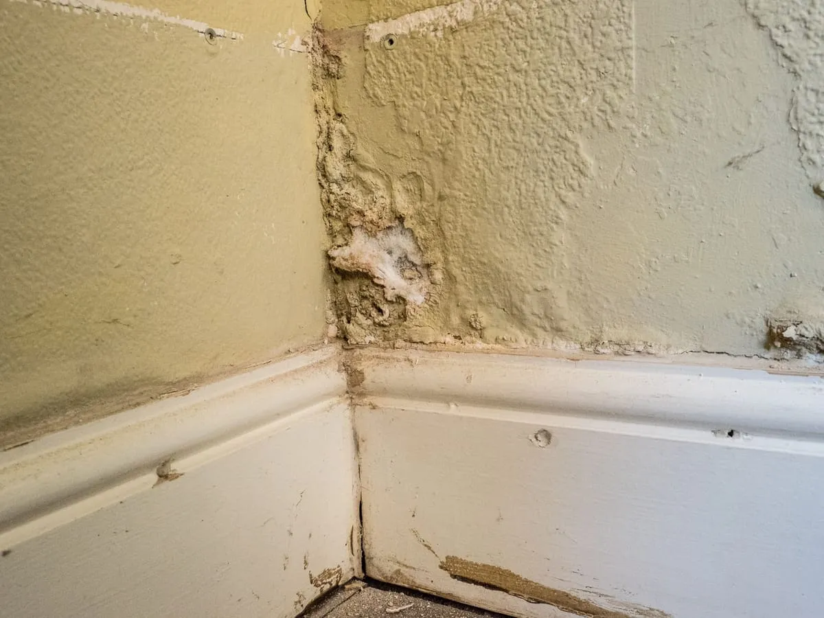 Rising damp tide mark and damaged plaster at the base of a wall