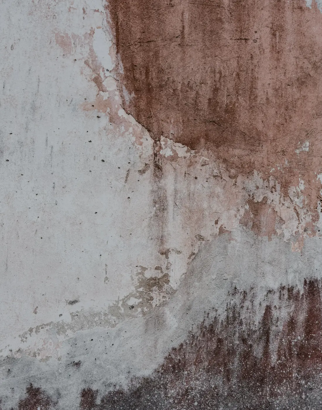 Decayed, damp-stained wall plaster